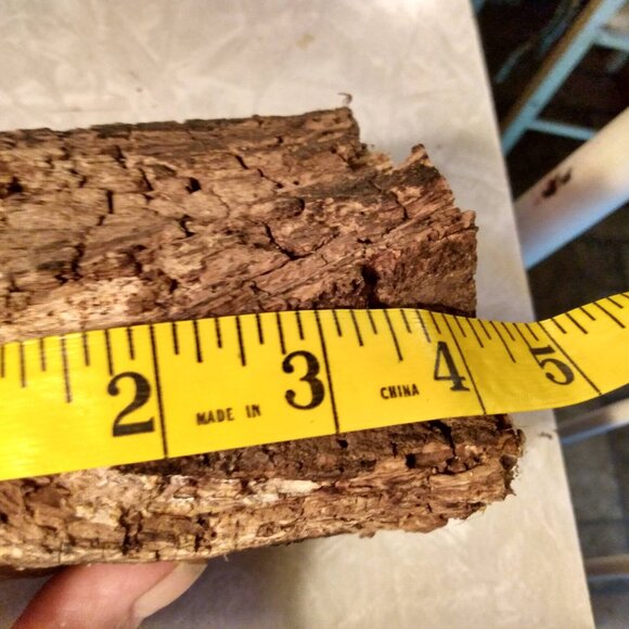 Two Small Real Wood Tree Stumps Fairy Garden Gnome Village Rustic Accent - Picture 6 of 11